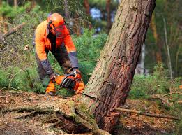Soil Testing and Treatment in Bangor, WI